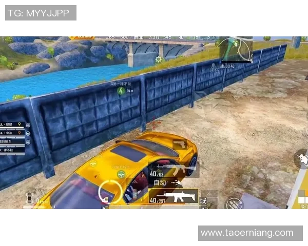 深度对话：探索杨芳在和平精英中的成长与奋斗历程