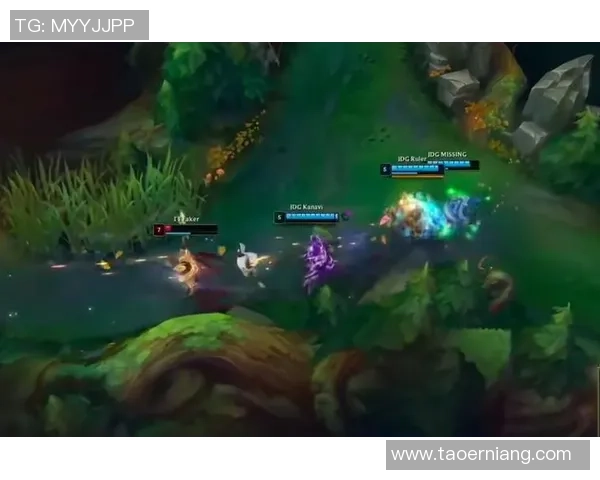 英雄联盟专题深度解析EDG战队近期状态与表现变化